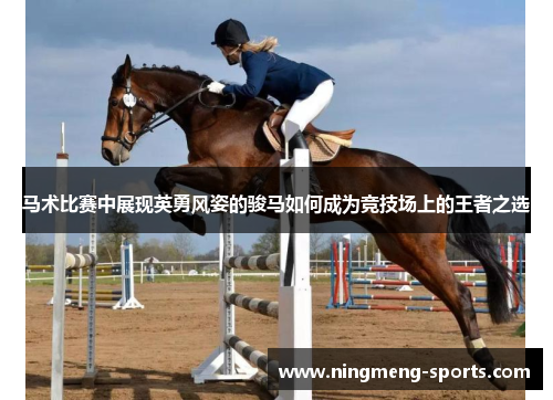 马术比赛中展现英勇风姿的骏马如何成为竞技场上的王者之选